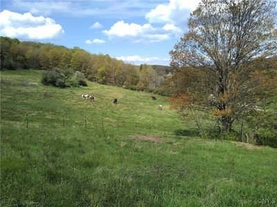 1170 Alderman Rd #1, Earlville, NY, 13332