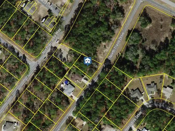 9561 N Travis Dr, Citrus Springs, FL 34434