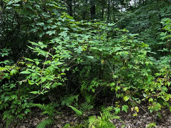 00 Kettle Creek Road, Cashiers, NC 28717