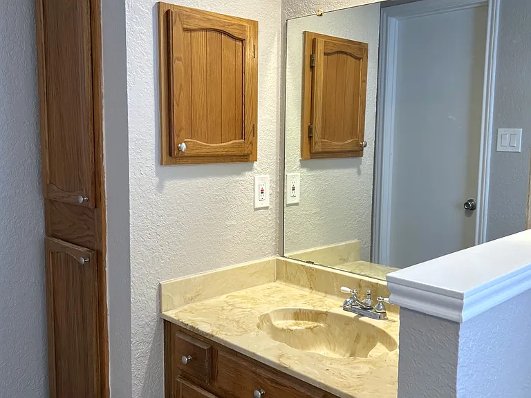 Primary Bathroom sink