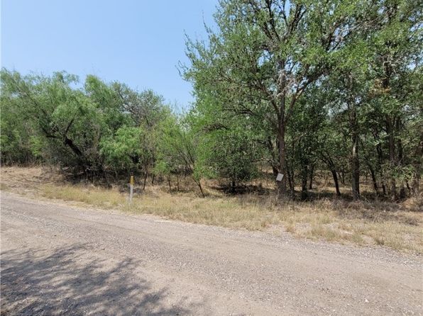 545 W County Road 362, Sandia, TX 78383