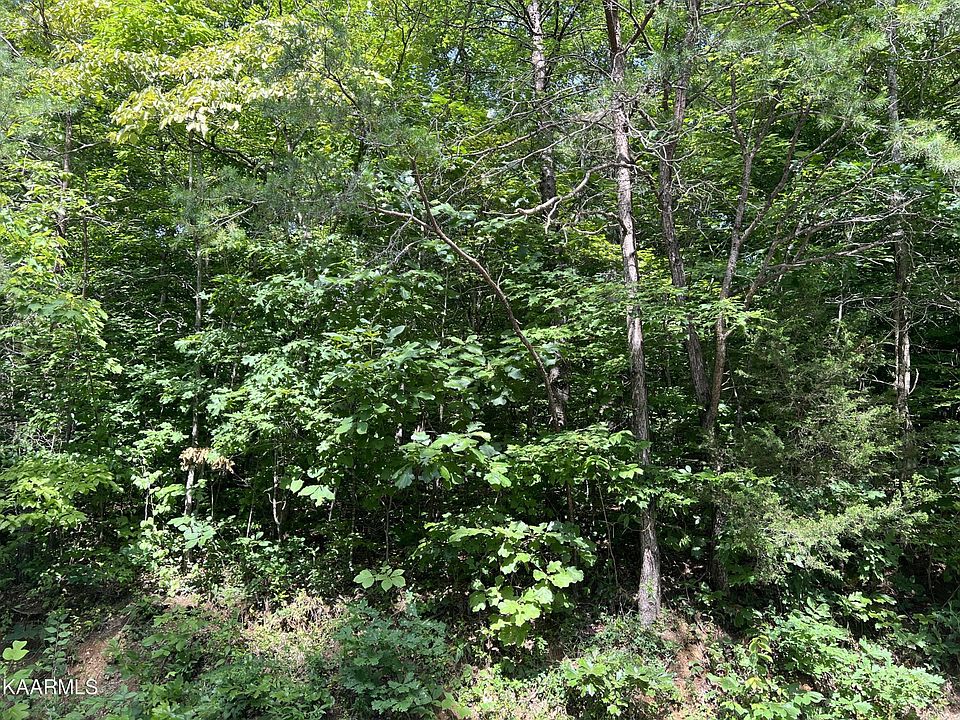 1st image of 0 Jim Lee Ridge Rd Lot 141