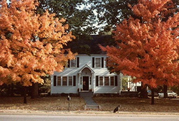 3rd image of 308 Vaden Dr