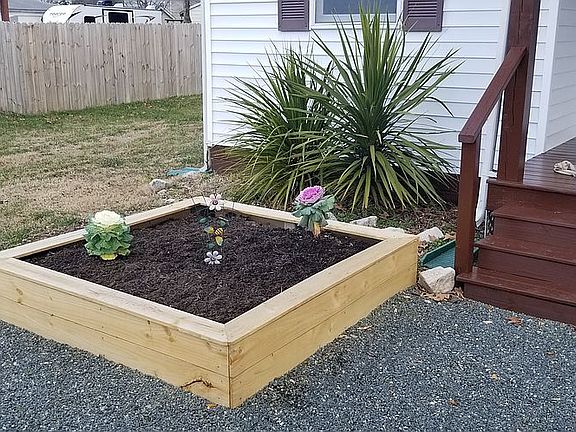 Plant Bed