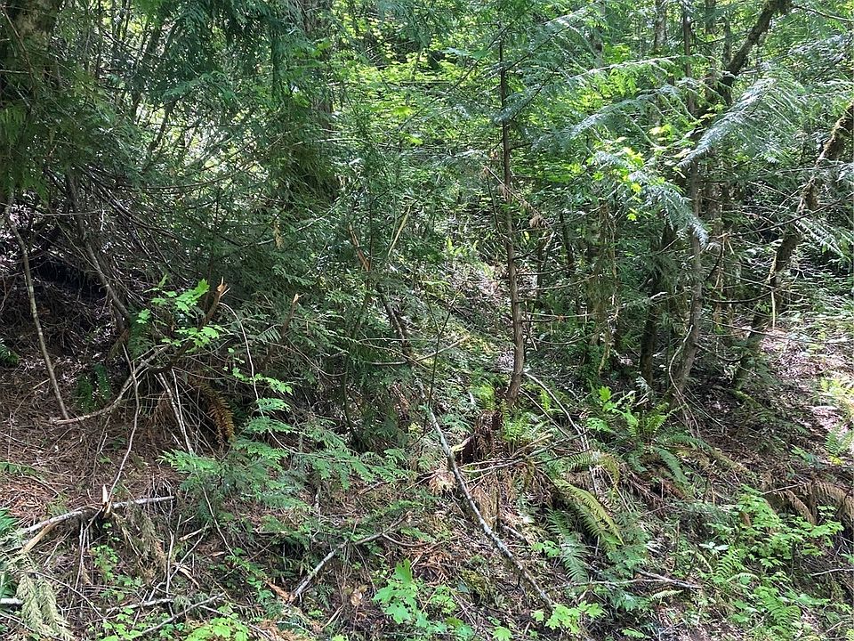 2nd image of 12 Dow Ridge Road