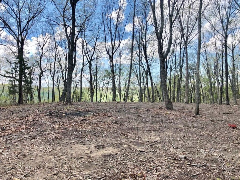 2nd image of 705 Panther Path