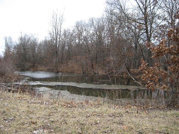 2nd image of 11516 SW County Road 968 Rd