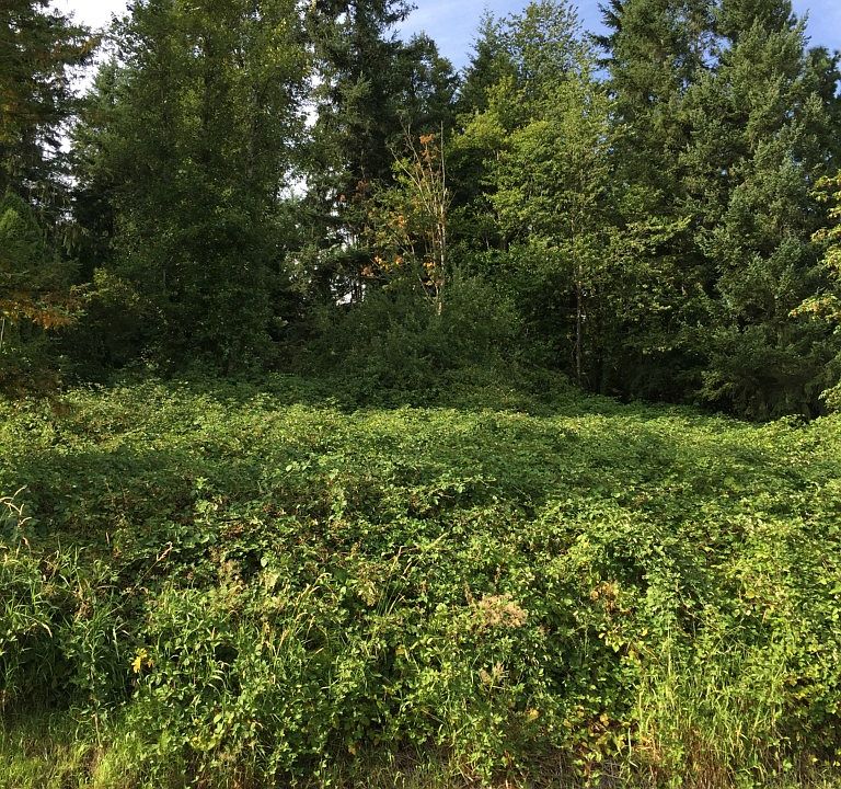 1st image of 27622 SE 403rd St