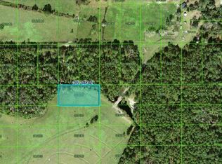 Commonwealth Ave N, Polk City, FL 33868