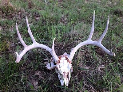 5301 County Road 477, May, TX, 76857