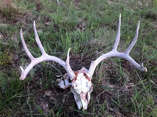 5301 County Road 477, May, TX 76857