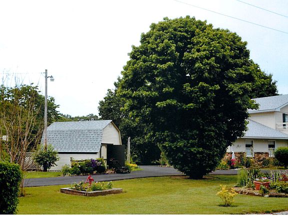 5th image of 18003 Buzzard Roost Road