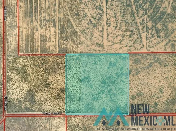S Three T 13s R 26e #Sw4se4, Dexter, NM 88230