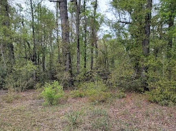 NW Southern Oak Ter, Jennings, FL 32053