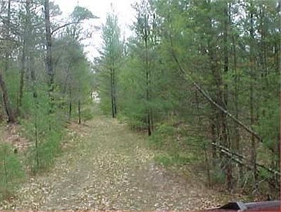 5th image of 9337 Private Dr
