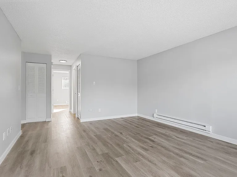 Pine Tree Lane Apartments — Photo 5