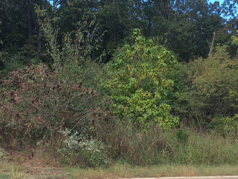1st image of LOT #95 W Foothills Dr