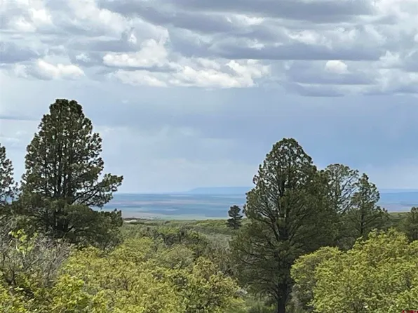 TBD Road 9.4, Dove Creek, CO 81324