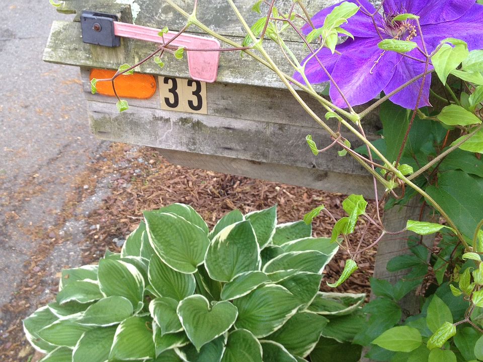33 Scenic Drive, Denville