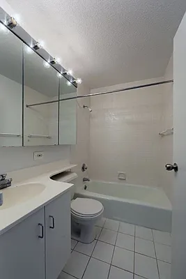 Rented by Manhattan Skyline | media 4