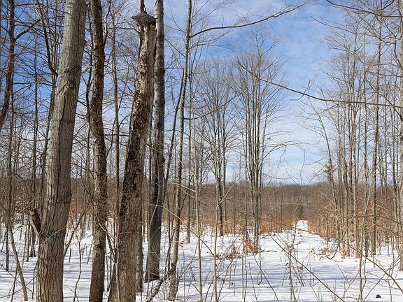 2nd image of Walker Rd NW