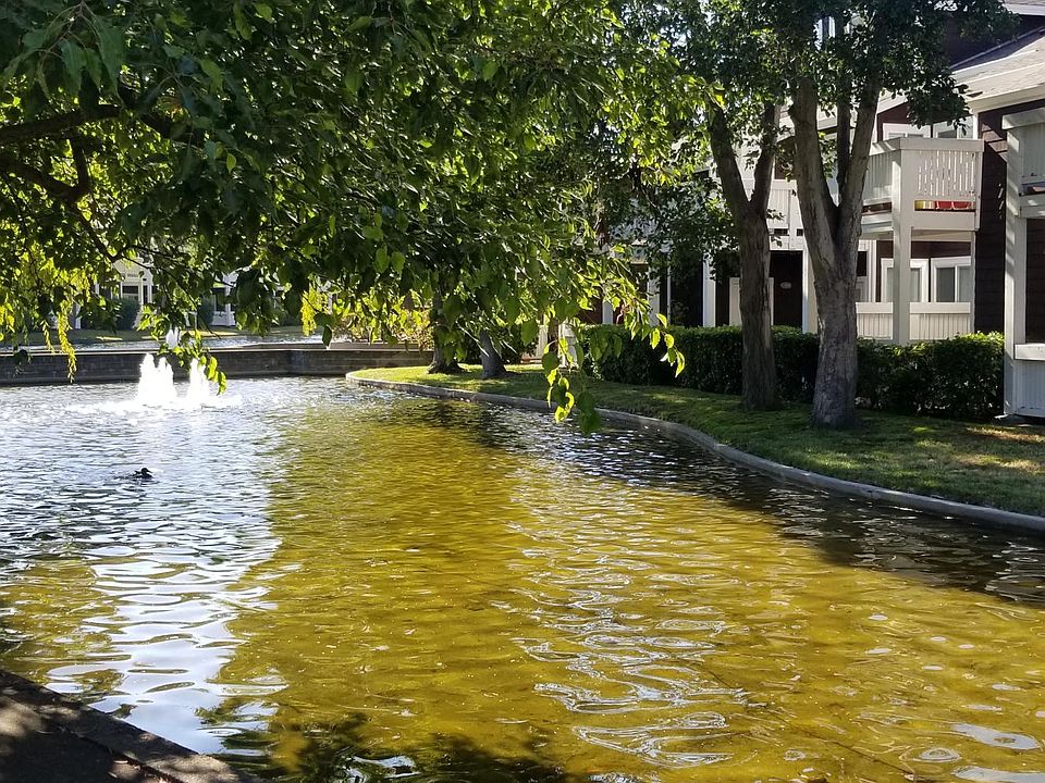 1st image of 83 Bayside Ct