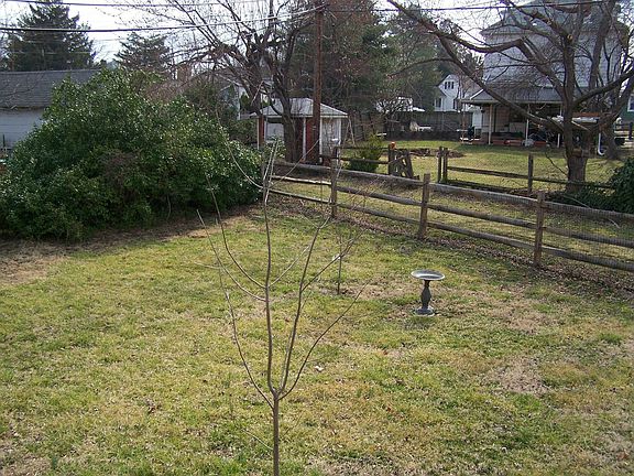 Large Fenced Yard