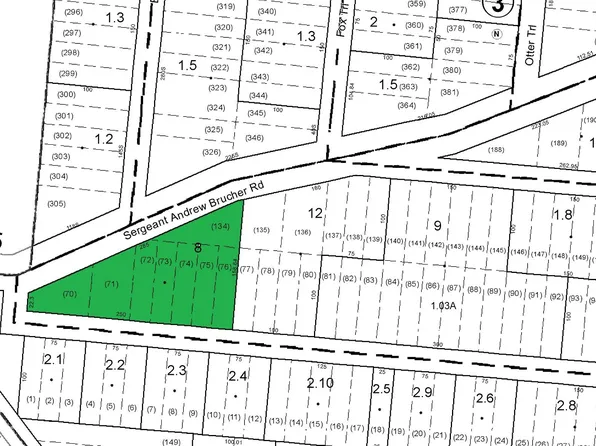 8 Sgt Andrew Brucher Rd, Bethel, NY 12720
