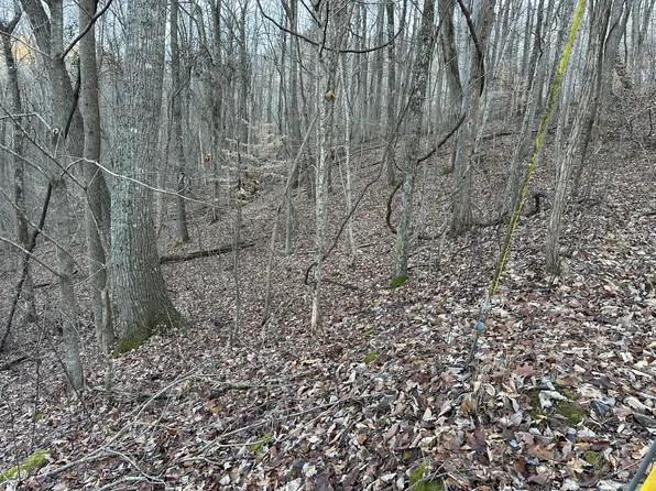 83 Stone Ridge Dr, Pikeville, TN 37367