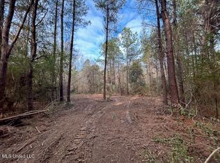 Irene Rd, Magnolia, MS 39652