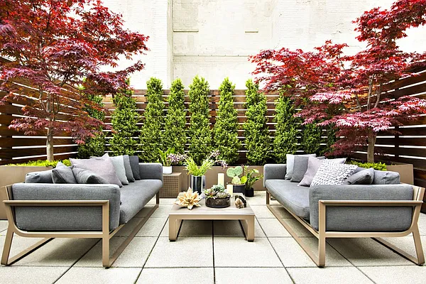 Rented by Town Residential | media 15