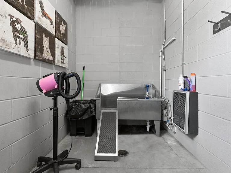 Pet Spa