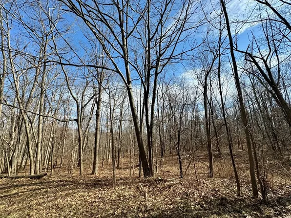 0 Belle Cornell State Route Dr #414, Montour Falls, NY 14865