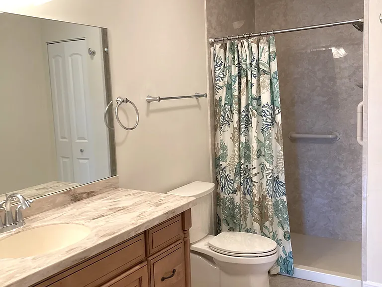 Updated Primary Bath