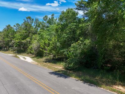 W Dogwood Ave, Defuniak Springs, FL, 32433