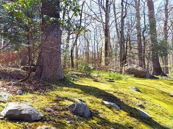 Pine Road & Pepperidge Road, Tuxedo Park, NY 10987