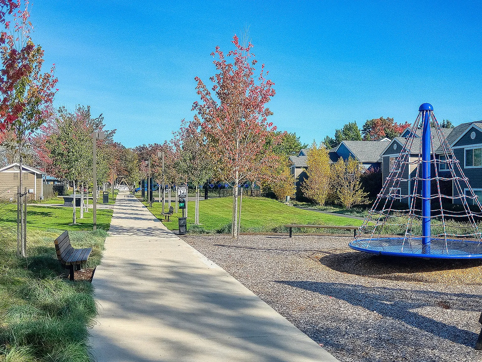 Conifer Place — Photo 2