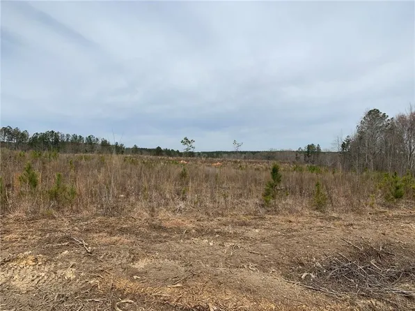 2911 Lee Road 334, Salem, AL 36874