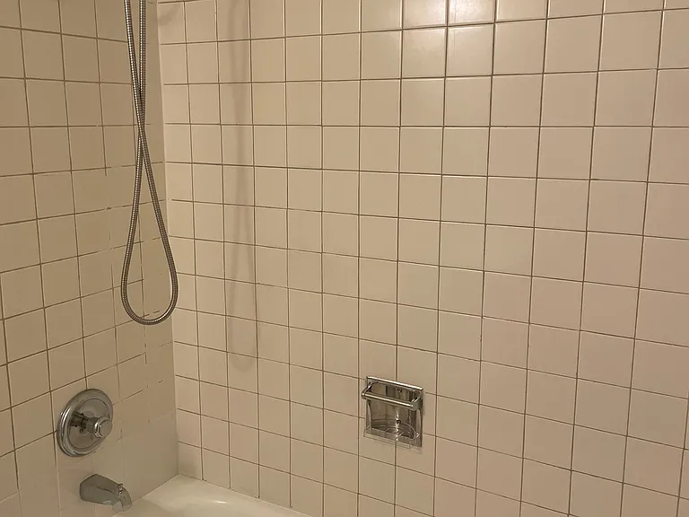 Tub, shower sprayer and tile