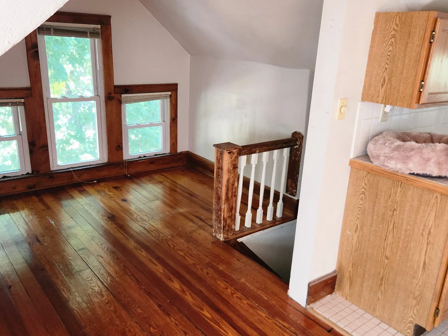 4123 Terrace St — Photo 2