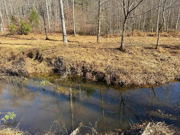 Goldmine Ln, Schuyler, VA 22969