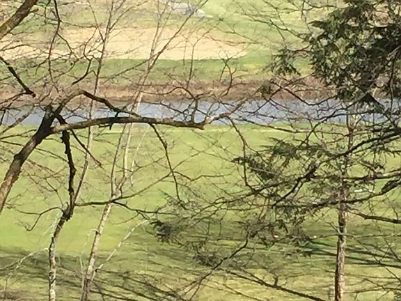 Bretwood golf course views. 