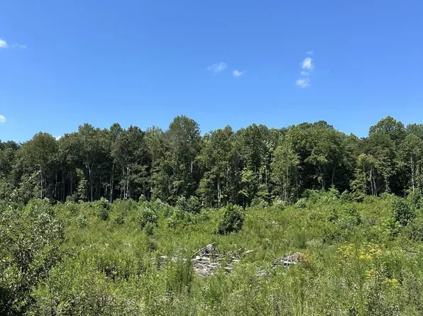 12 Dykes Hollow Rd Lot 12, Tracy City, TN 37387