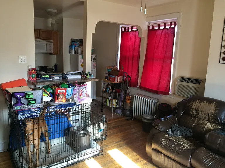 Pine Hill — Photo 29
