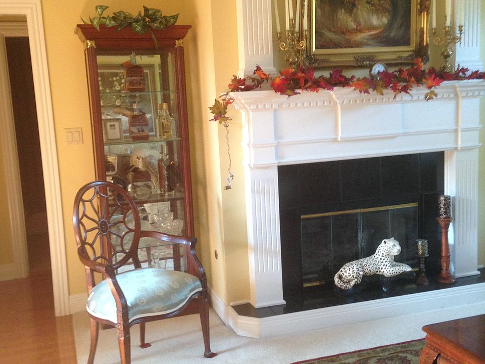 fire place inn the living rm