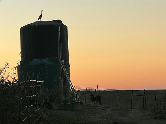 2nd image of 5918 Olivera Canyon Rd