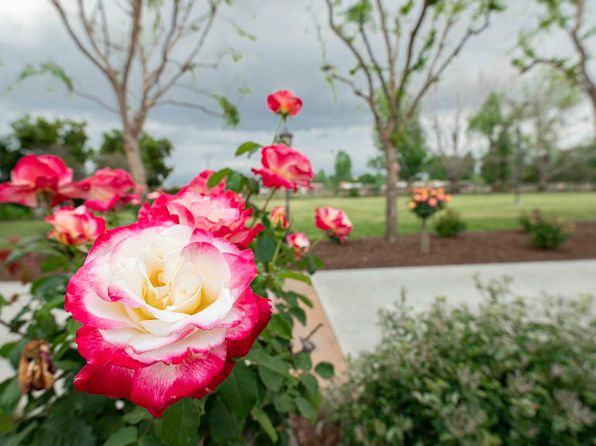 20925 Avenue 322, Woodlake, CA 93286