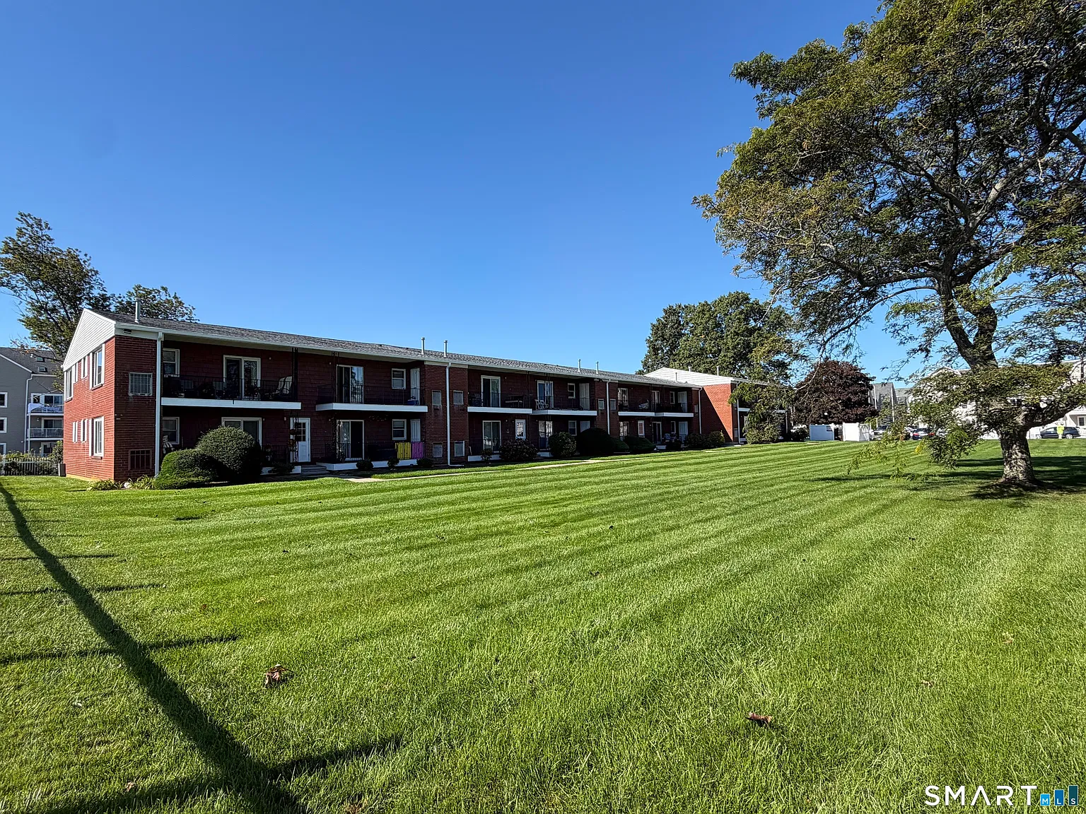 1 bed, 1.0 bath, 902 sqft, $2,300 — Photo 3