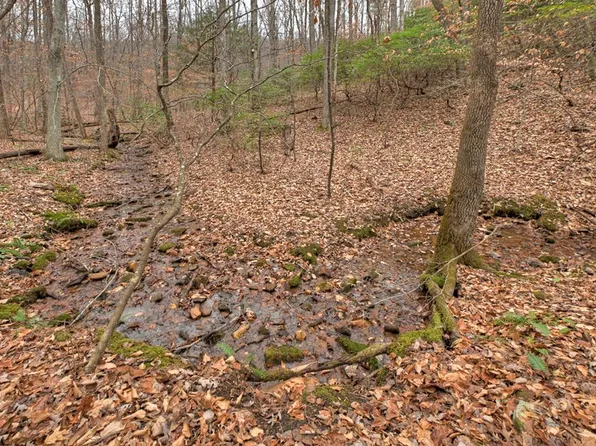 0 Spruill Dr, Ellijay, GA 30536