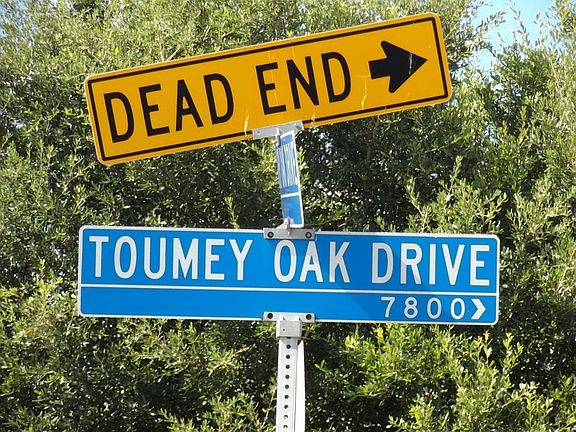 4th image of 7815 Toumey Oak Dr